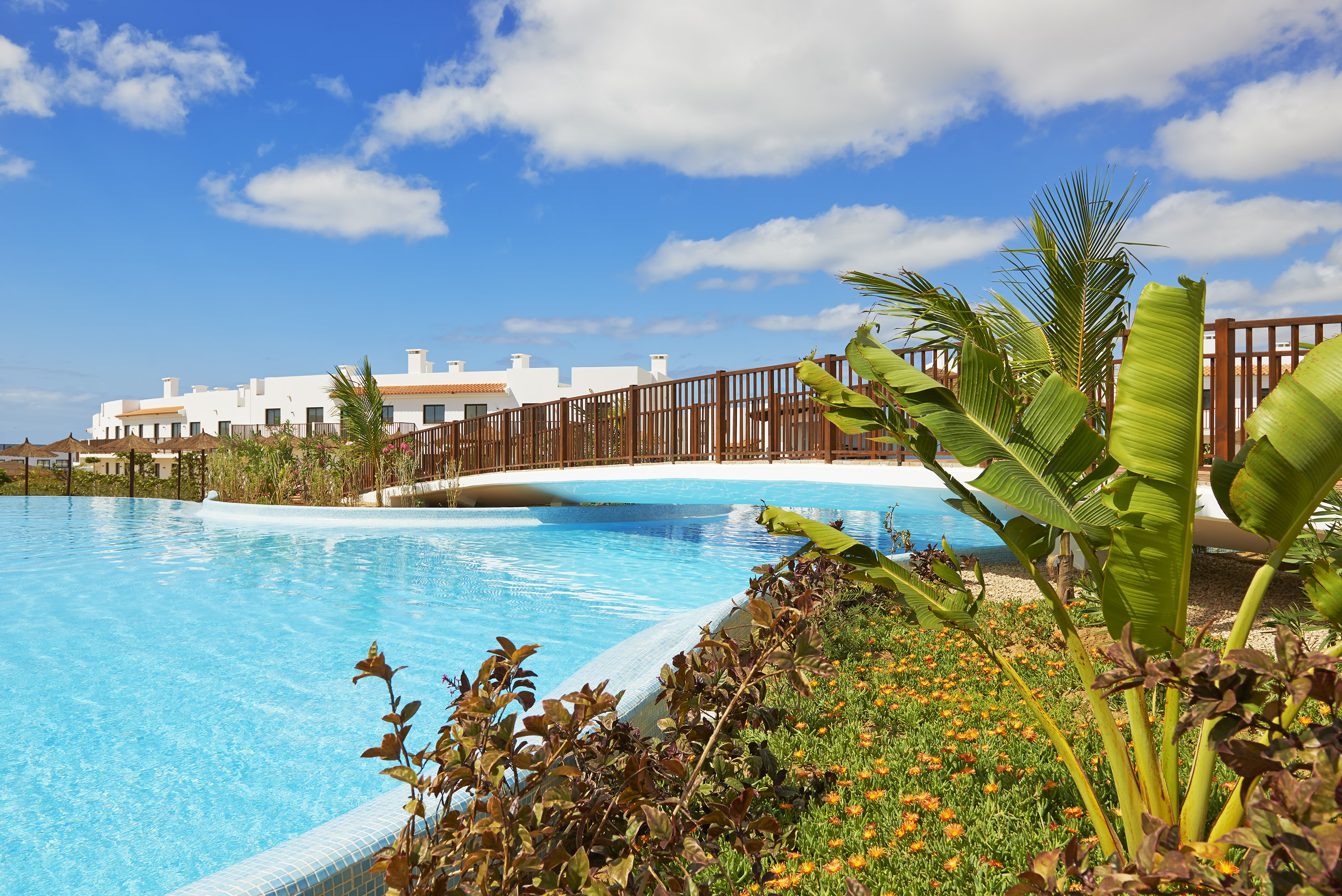 a pool with a bridge over it