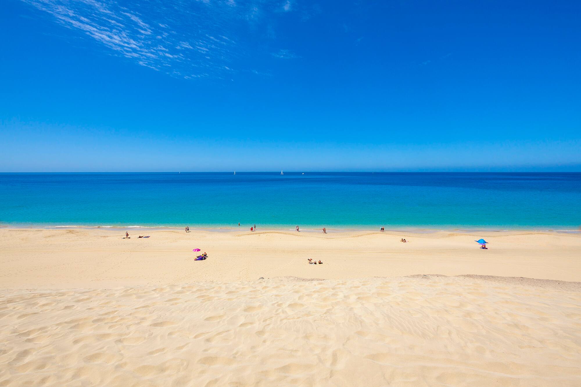 a beach with people on it