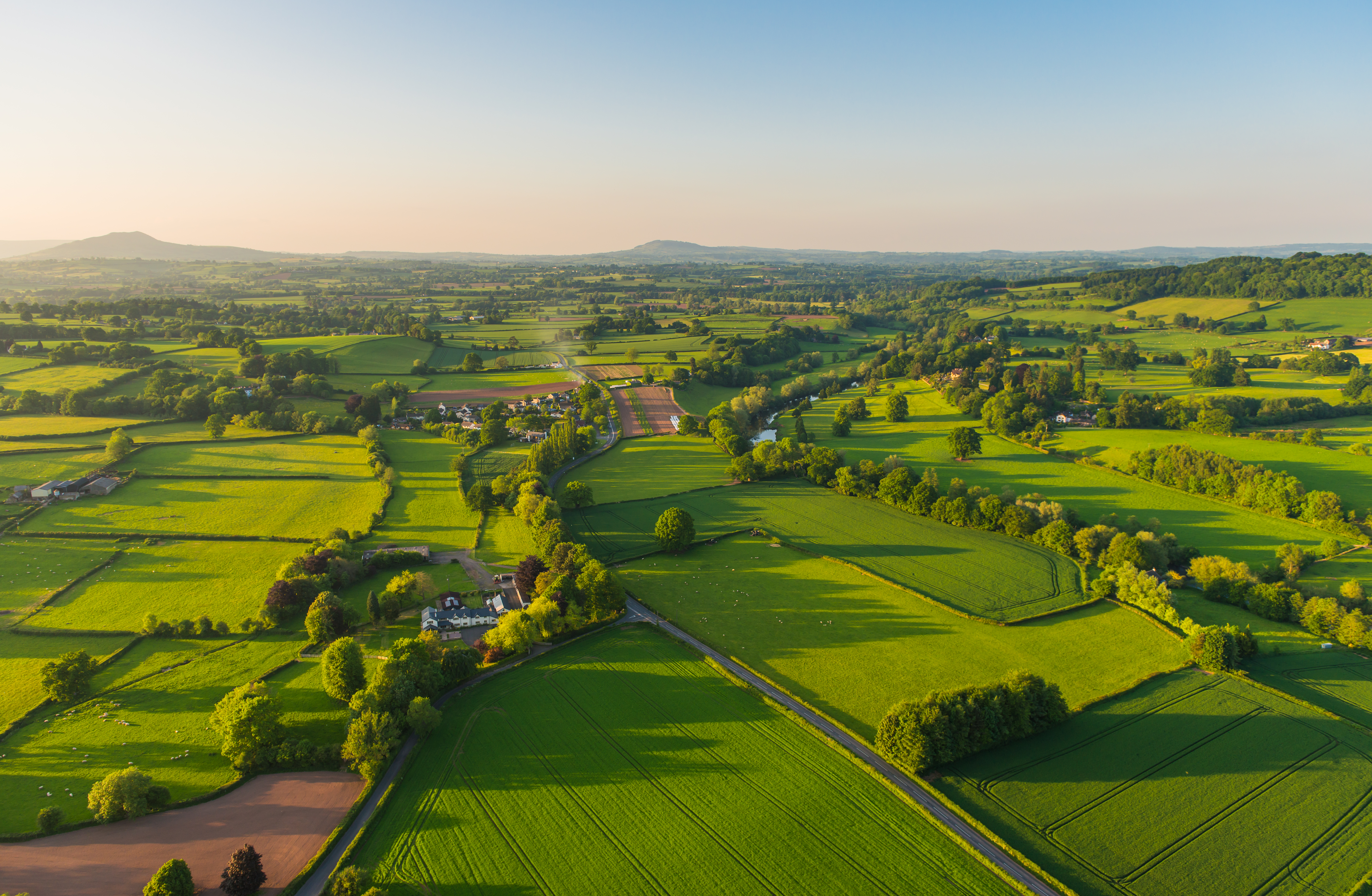 aerial view of a green landscape