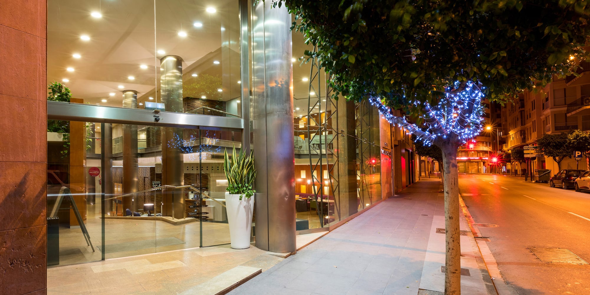 a tree on the side of a street