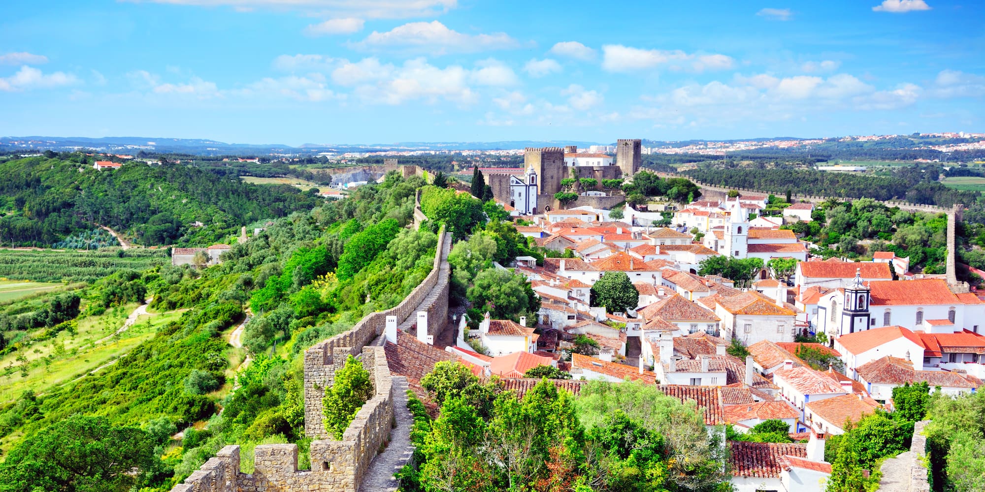 a city with trees and a castle