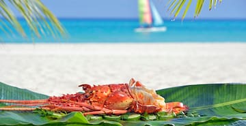 a lobster on a leaf on a beach