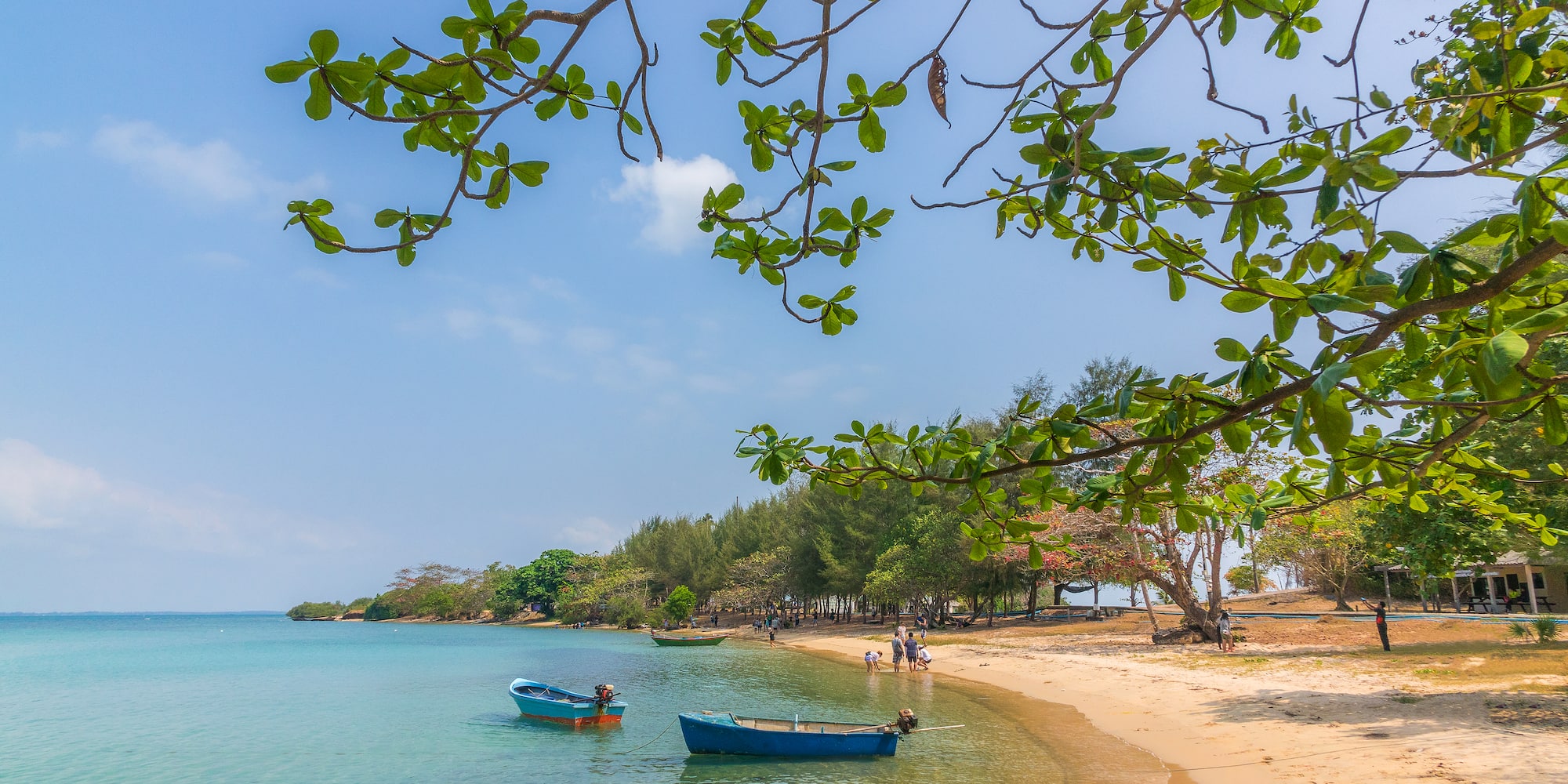 boats on a beach with trees and a sandy shore