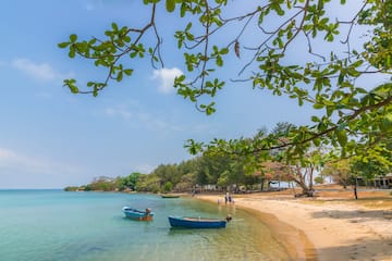 boats on a beach with trees and a sandy shore