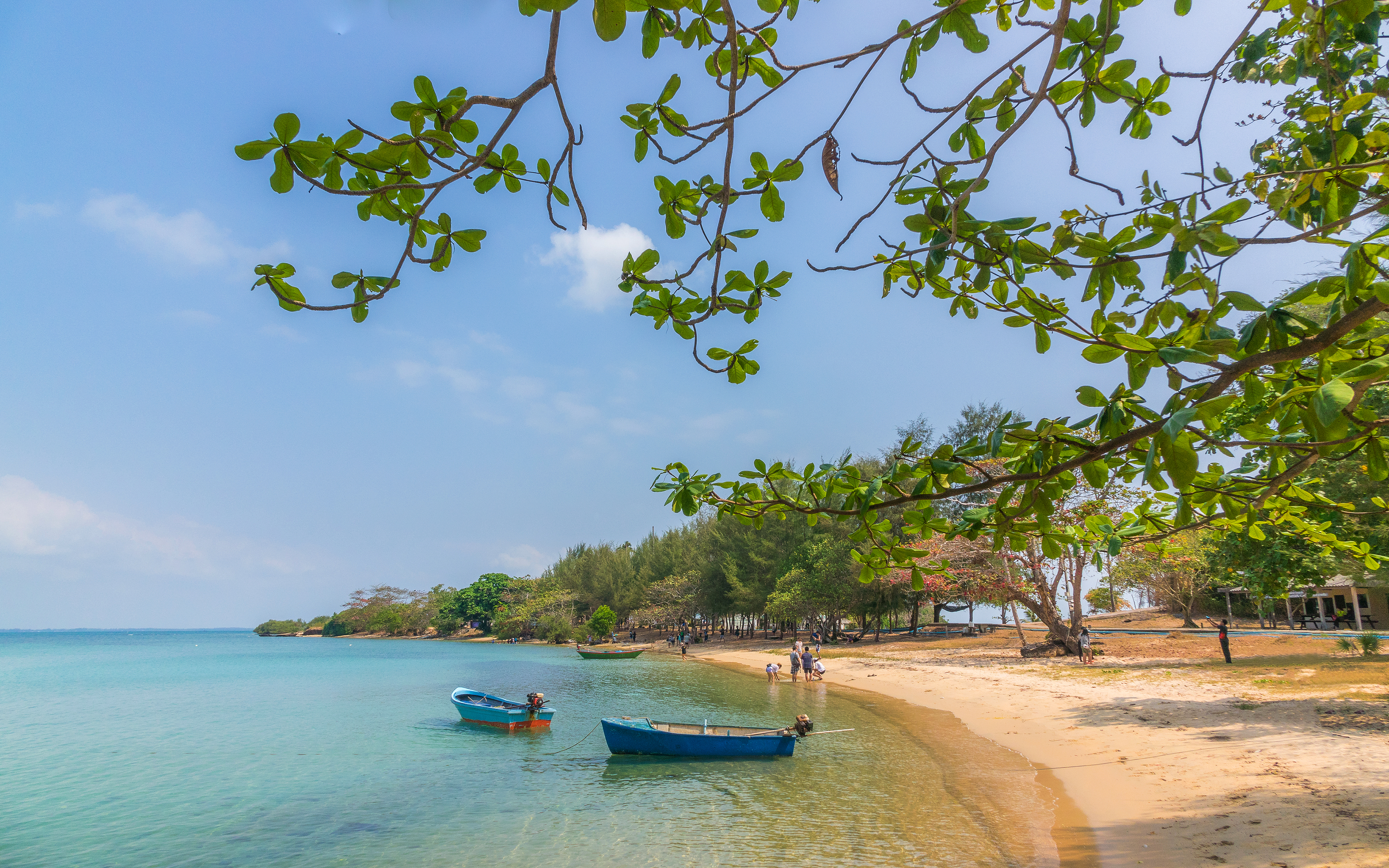 boats on a beach with trees and a sandy shore