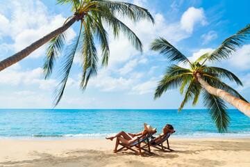a couple of people sitting in chairs on a beach under palm trees