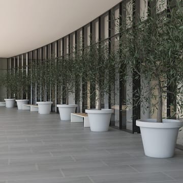 a row of potted trees in a room