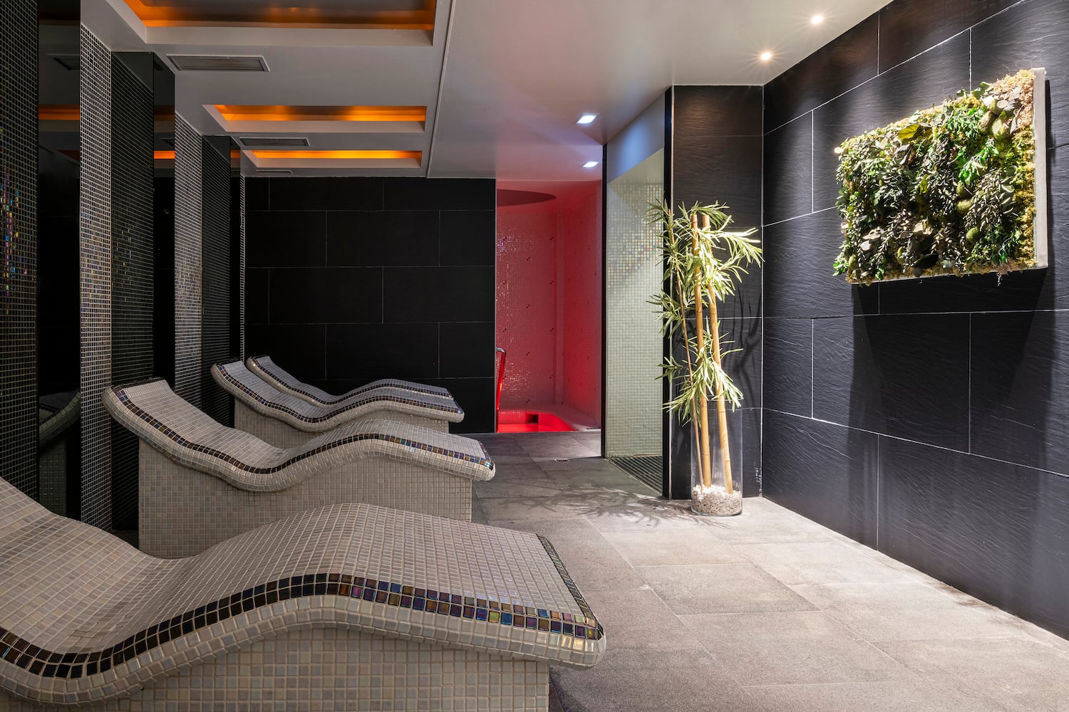 a room with chairs and plants