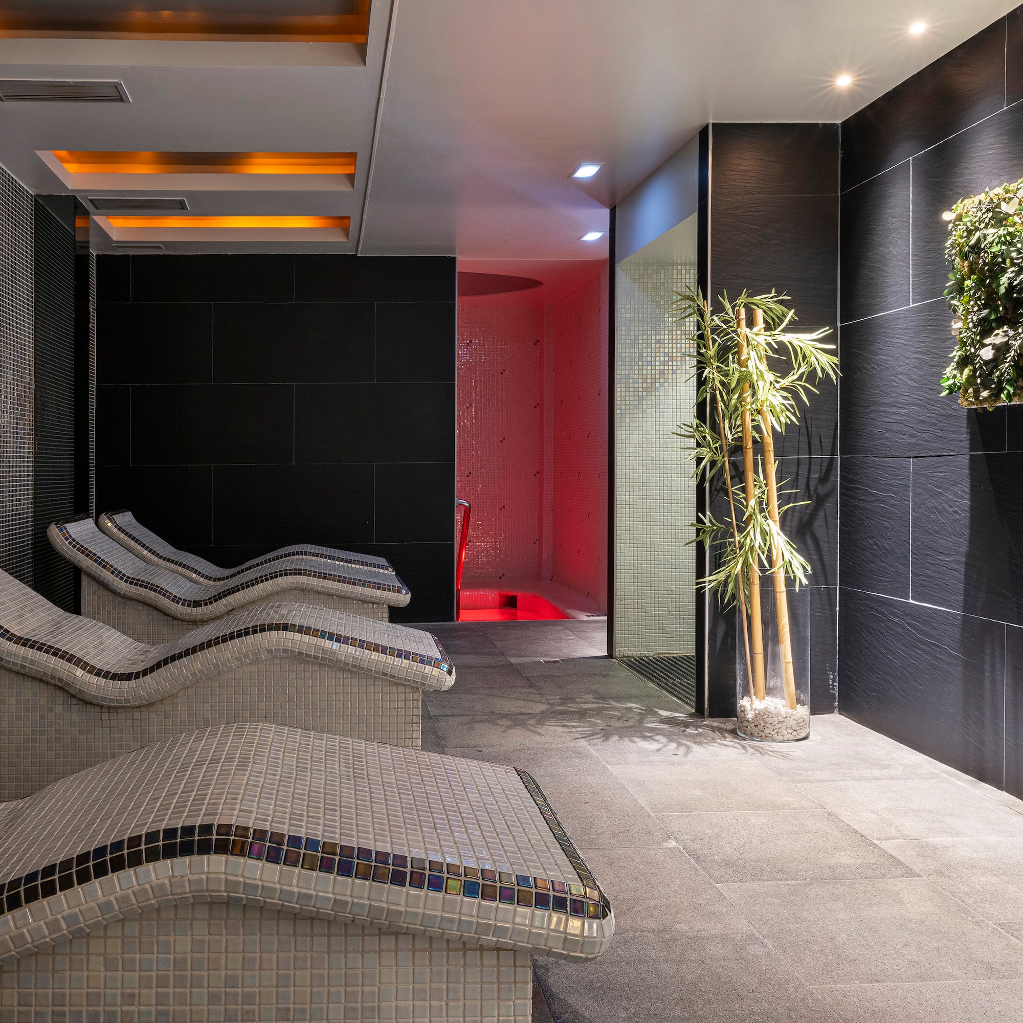 a room with chairs and plants