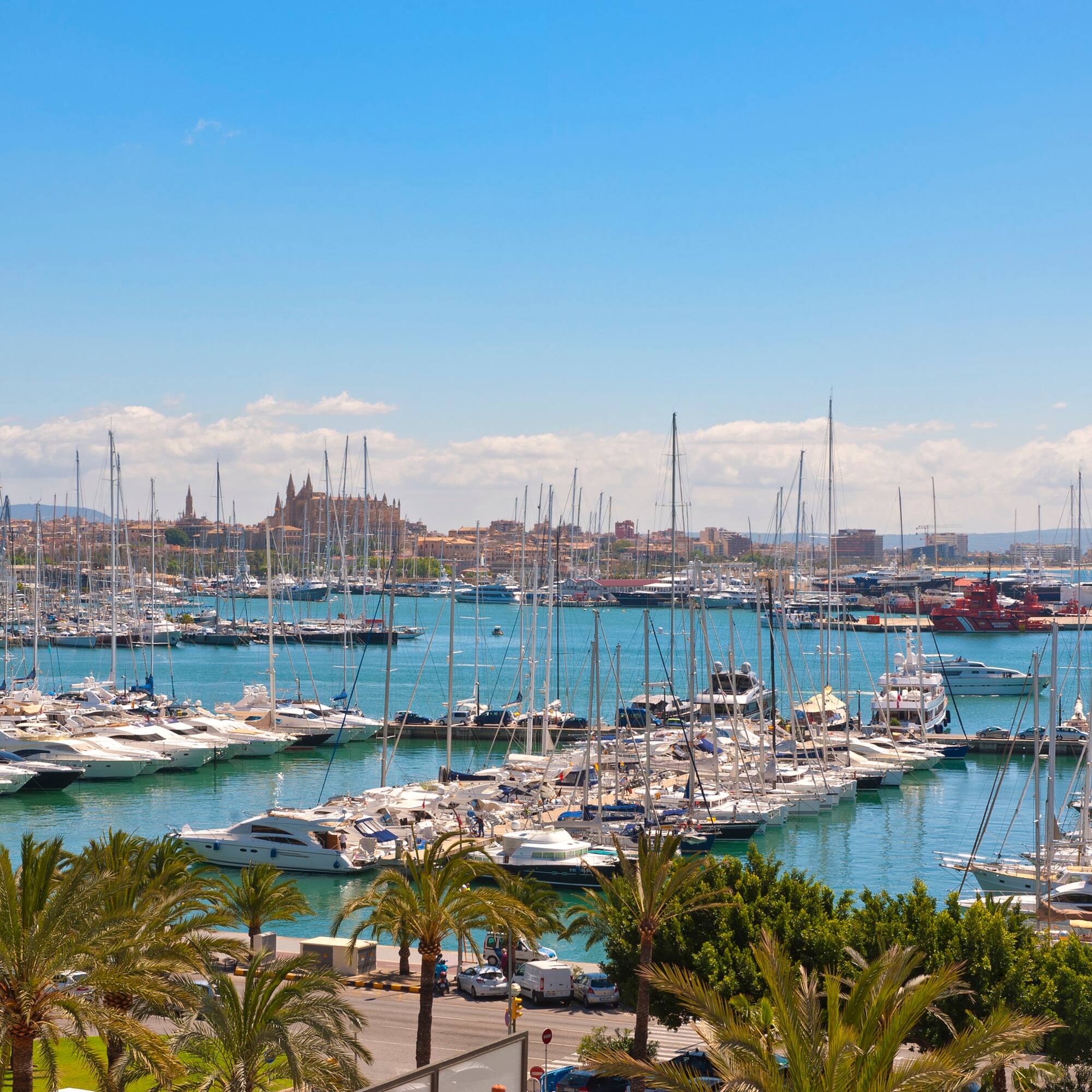 a large group of boats in a harbor