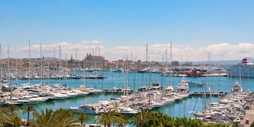 a large group of boats in a harbor