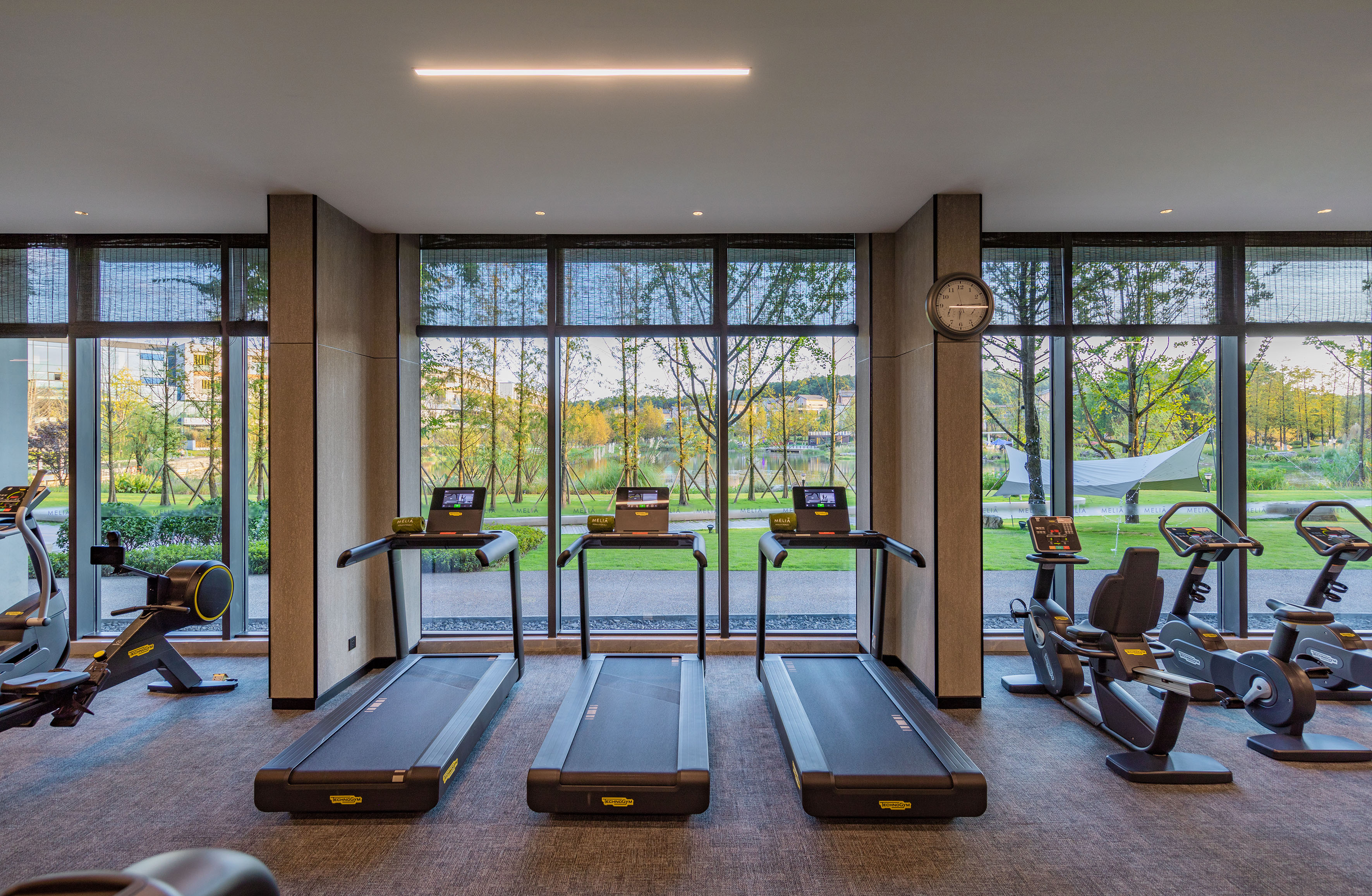 Modern gym with treadmills, exercise bikes, and a natural outdoor view.