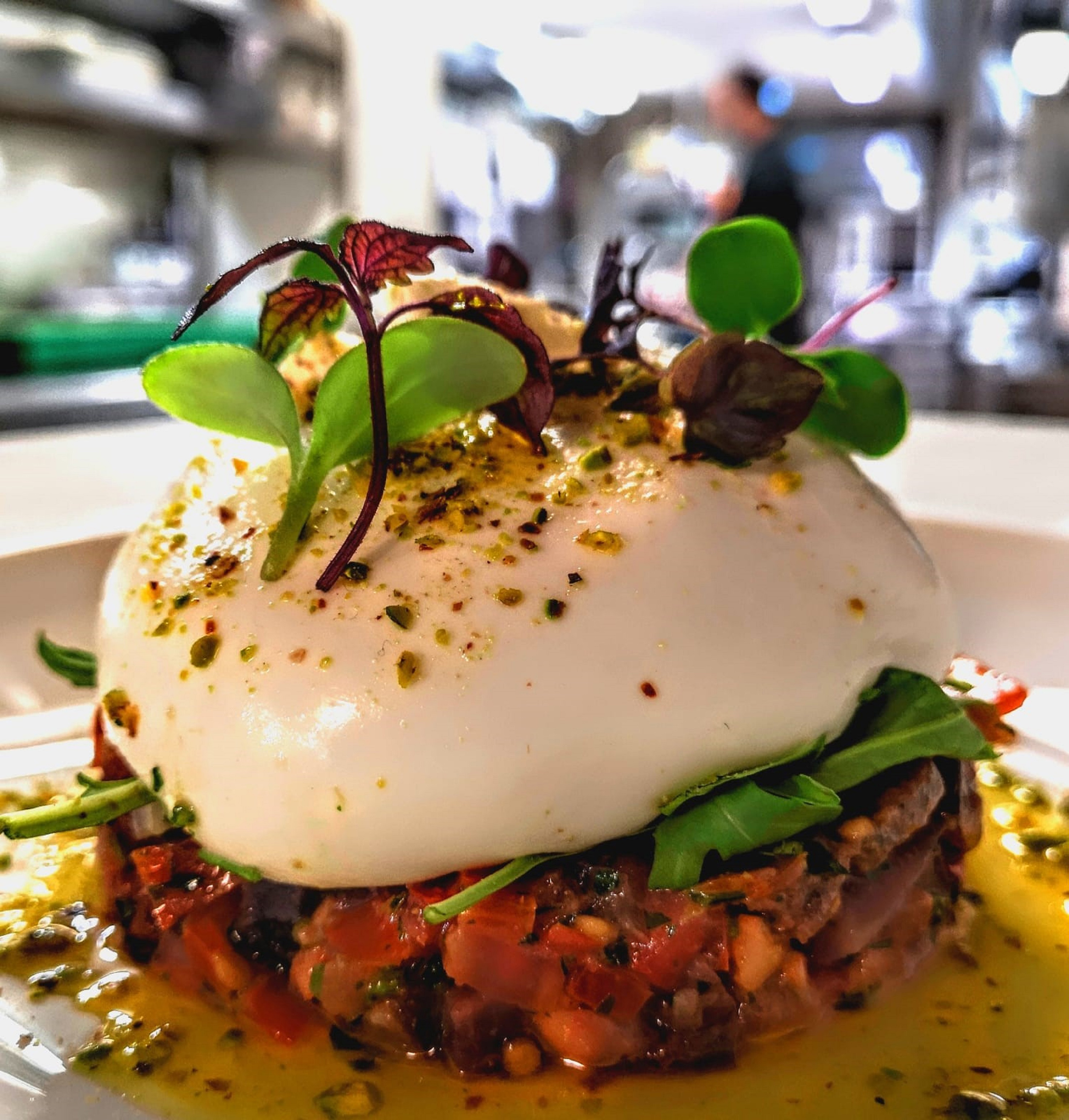 Gourmet burrata with tomato tartare, pistachios, and fresh microgreens.