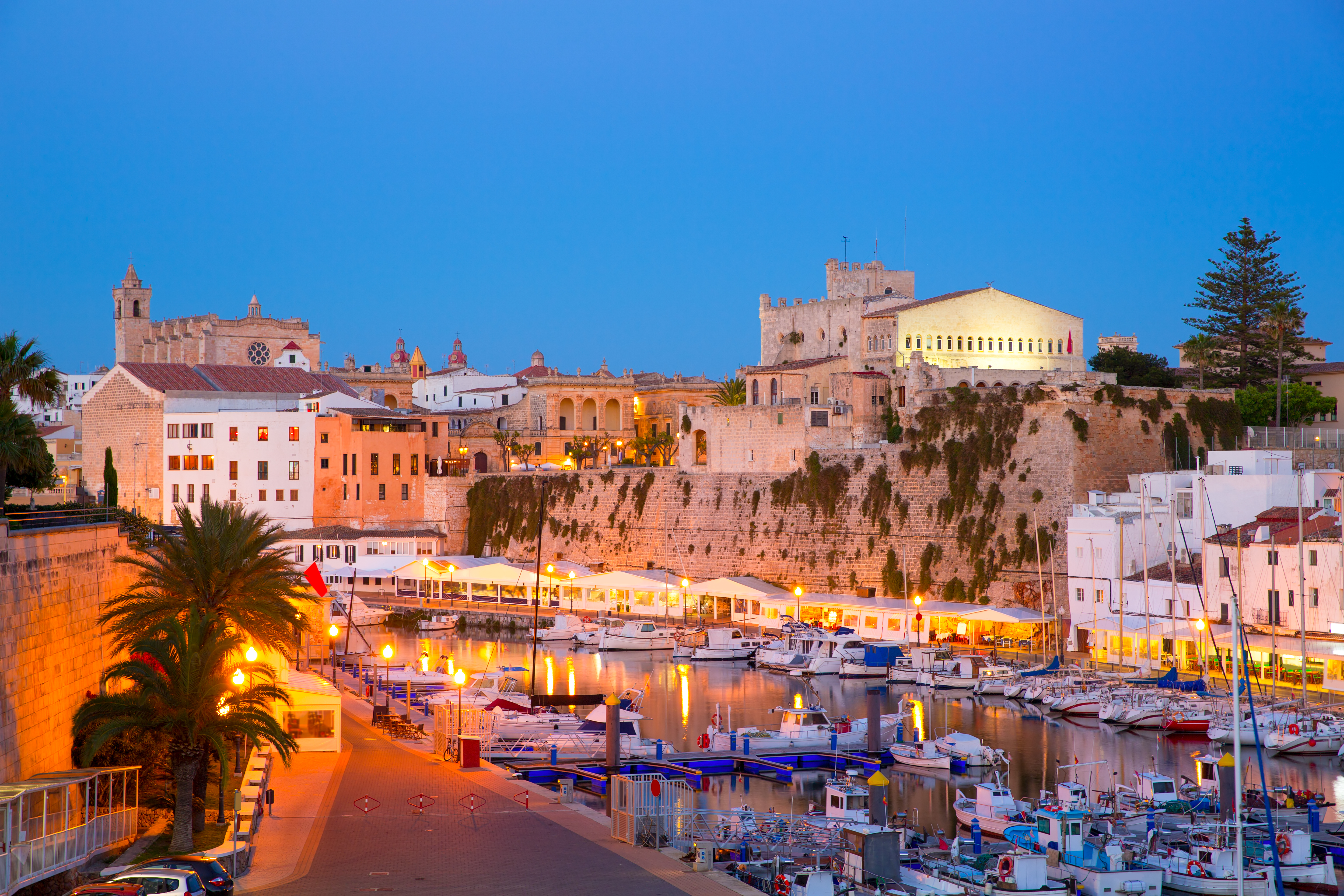 a harbor with boats and buildings in the background