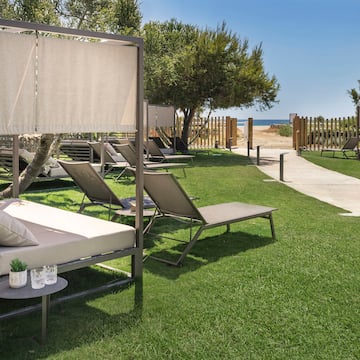 a lawn chairs and a walkway on a sunny day