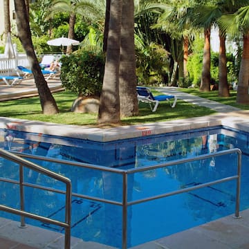 a pool with a metal railing and palm trees
