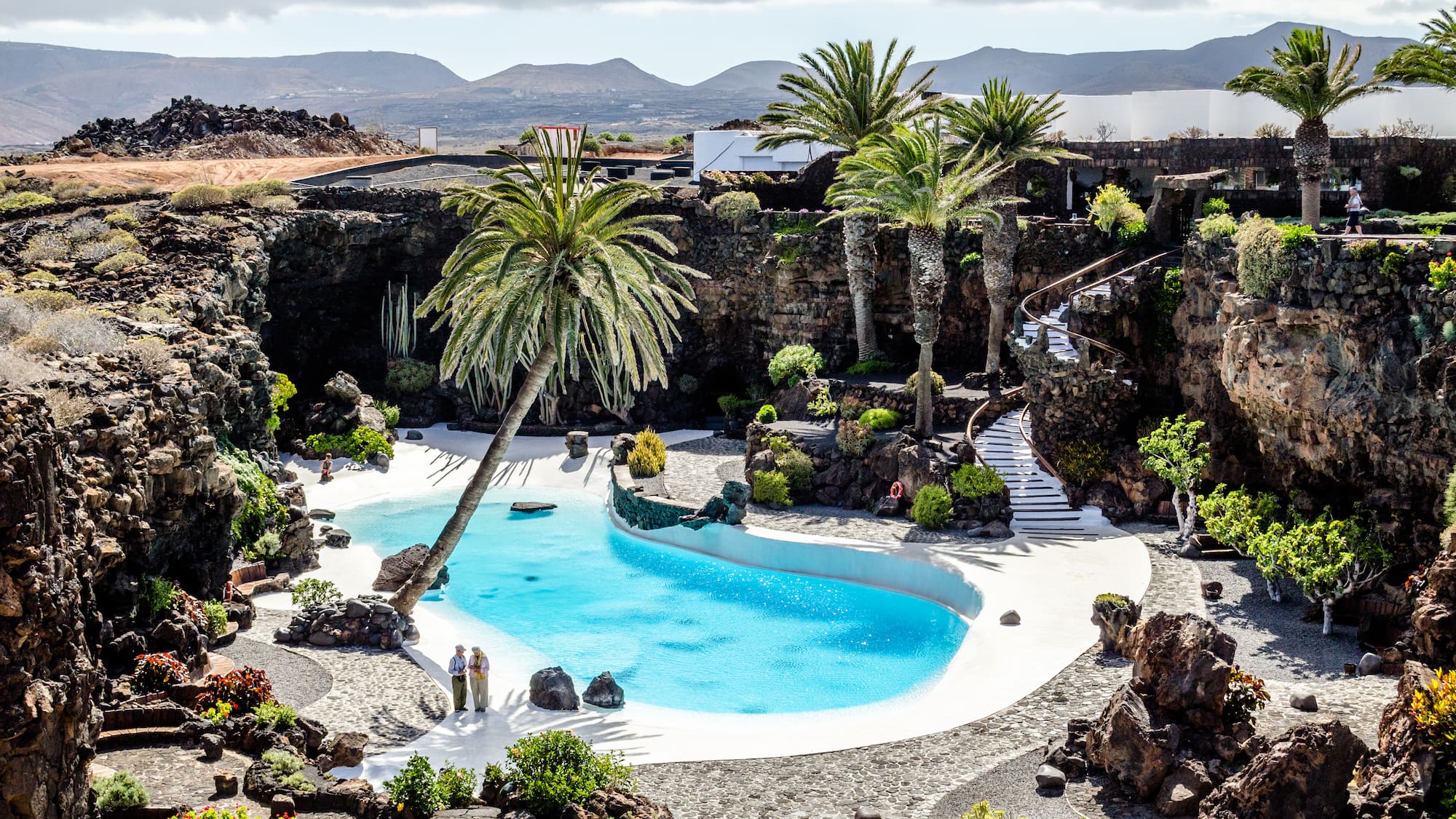 a pool surrounded by palm trees with Lanzarote in the background