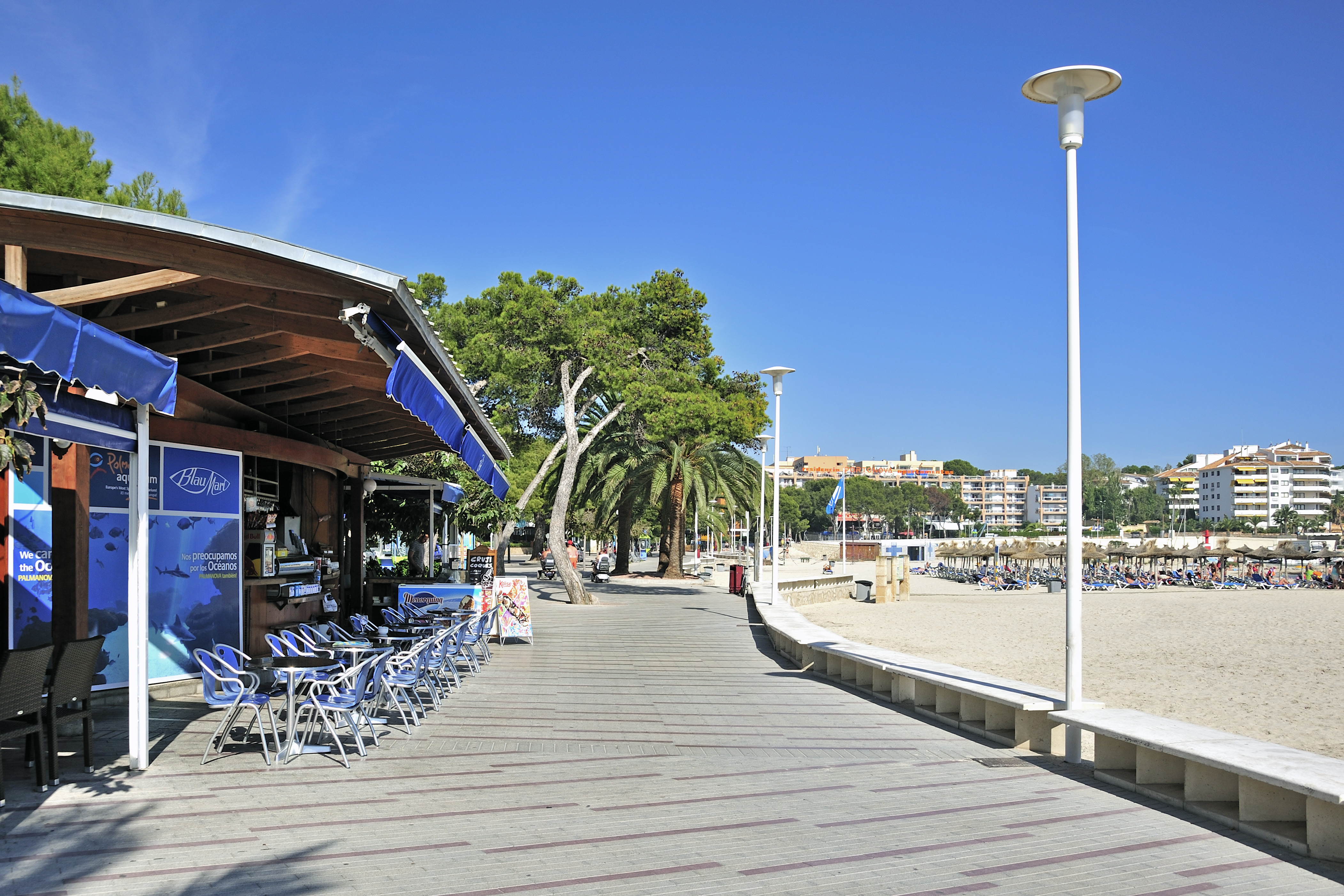 Palmanova beach promenade with outdoor cafe, sunny sand, and palm trees.