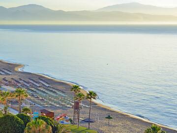 a beach with palm trees and a body of water