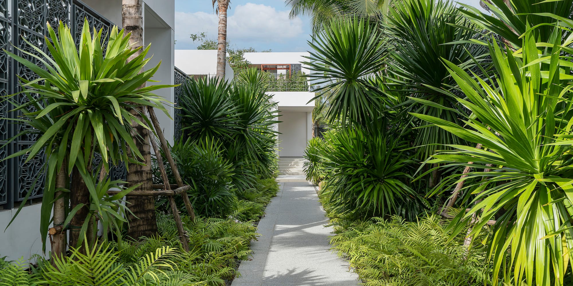 a path between trees and plants