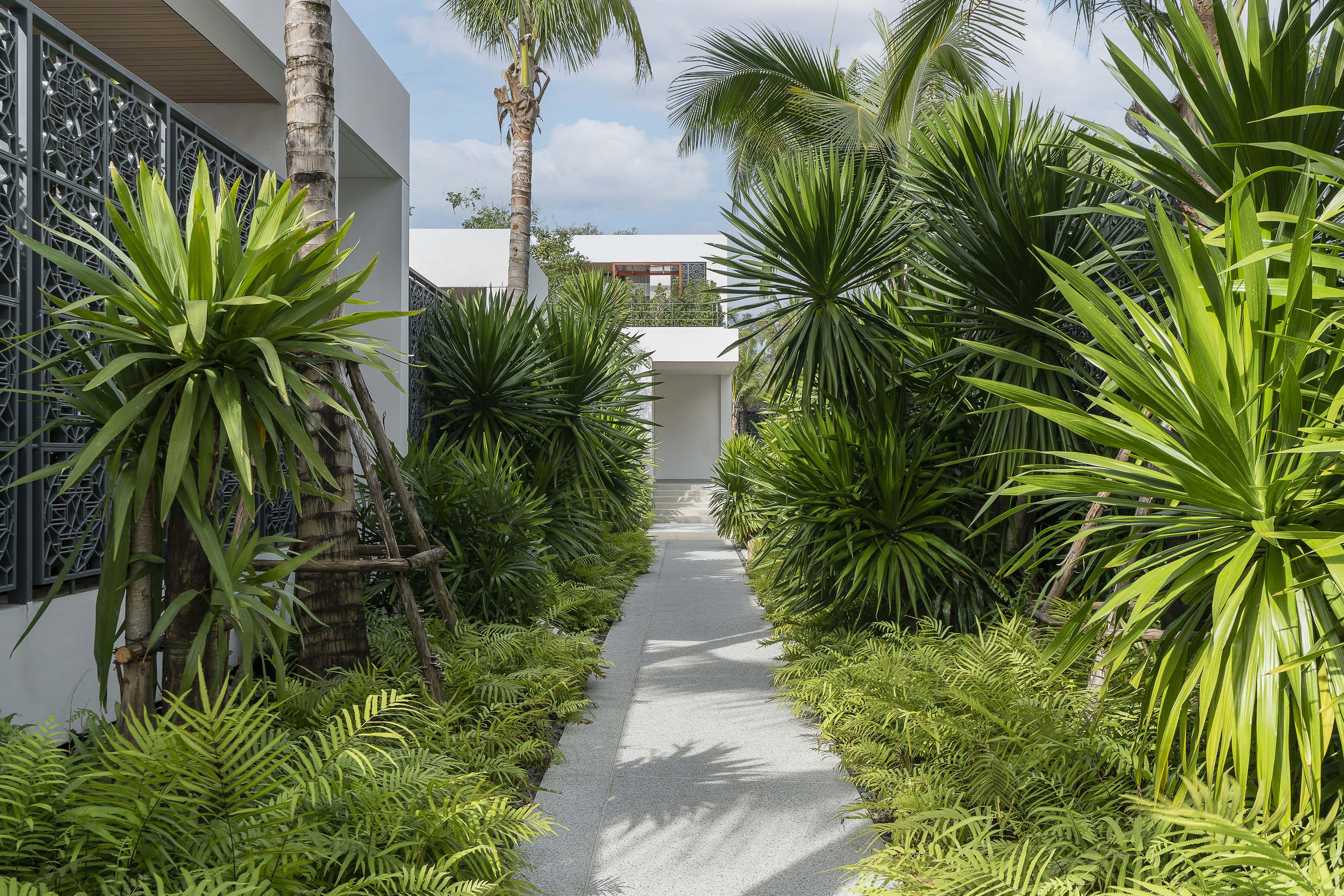 Pathway through tropical garden with palms and ferns to modern white building.