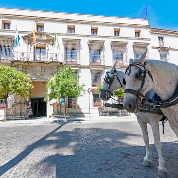 a horse in a harness in front of a building