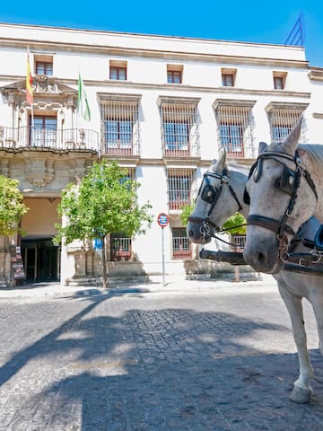 a horse in a harness in front of a building