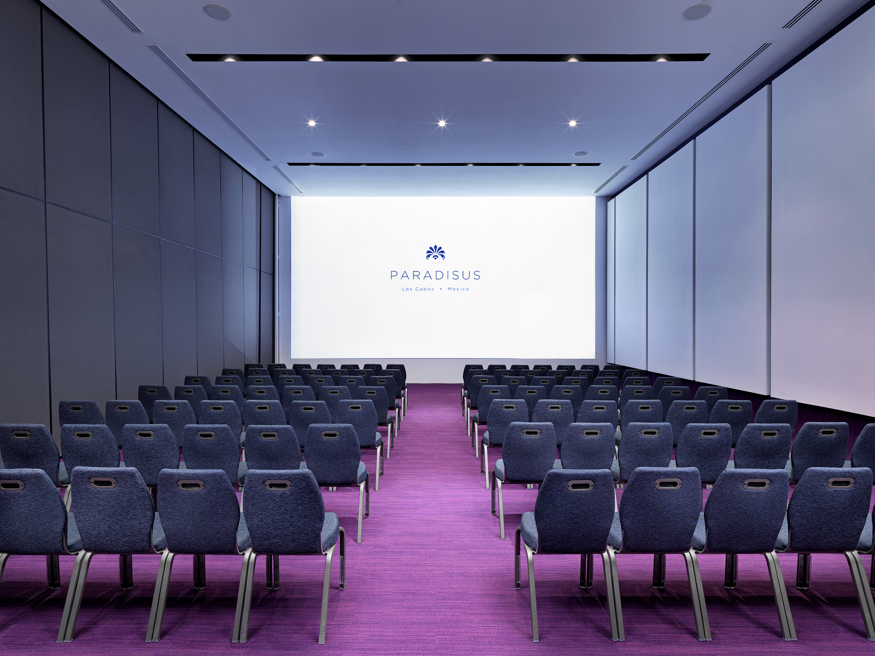 Paradisus Los Cabos conference room: blue chairs, purple carpet, screen.