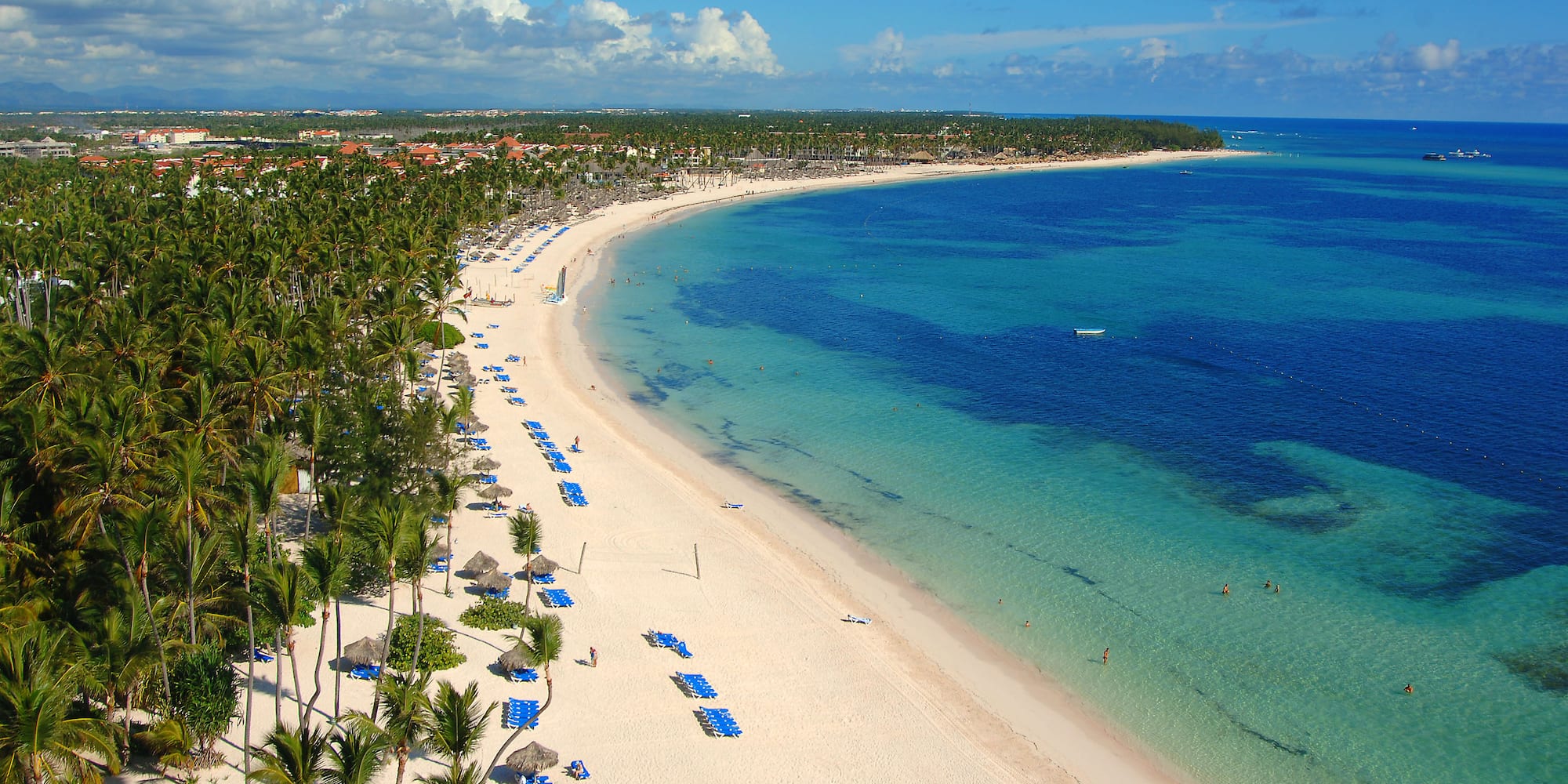 a beach with palm trees and blue water