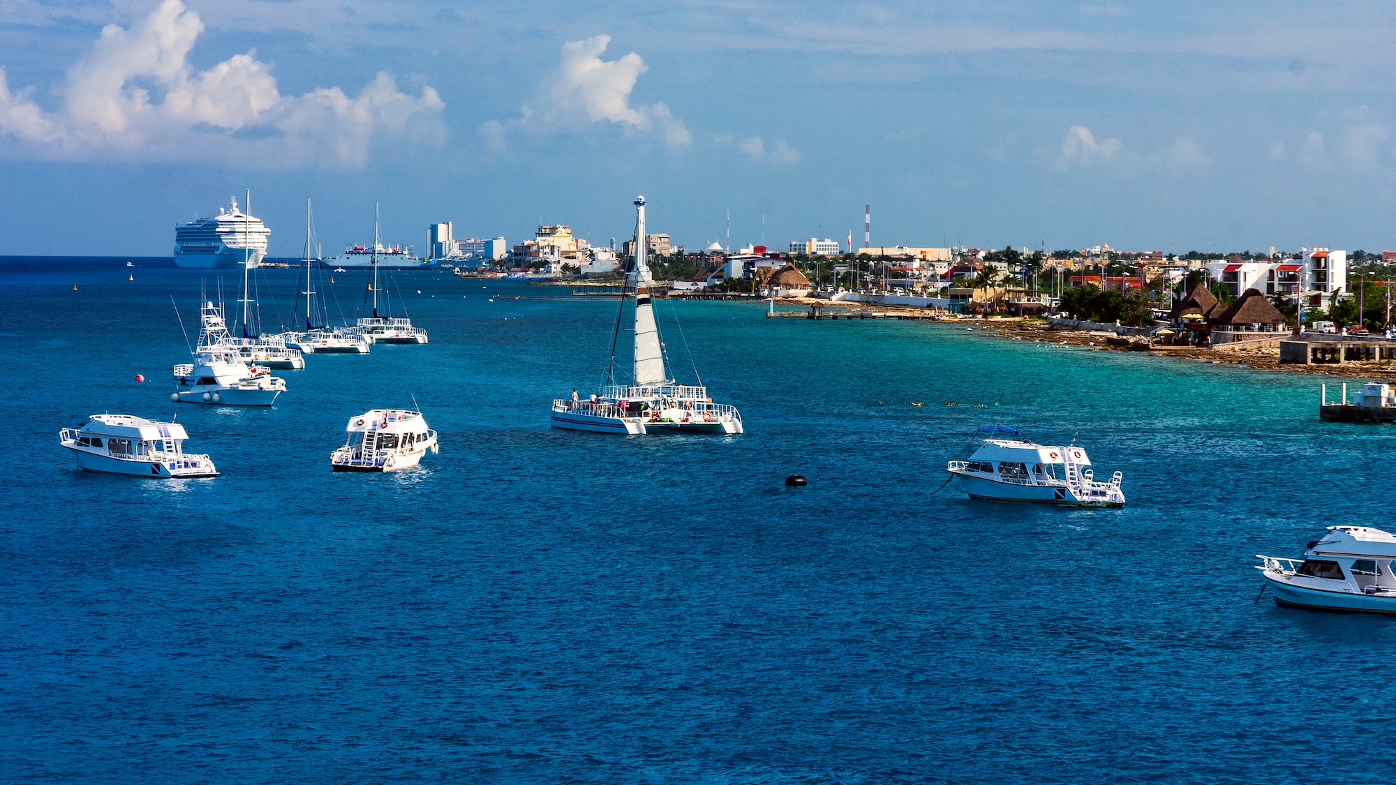 boats in the water with boats