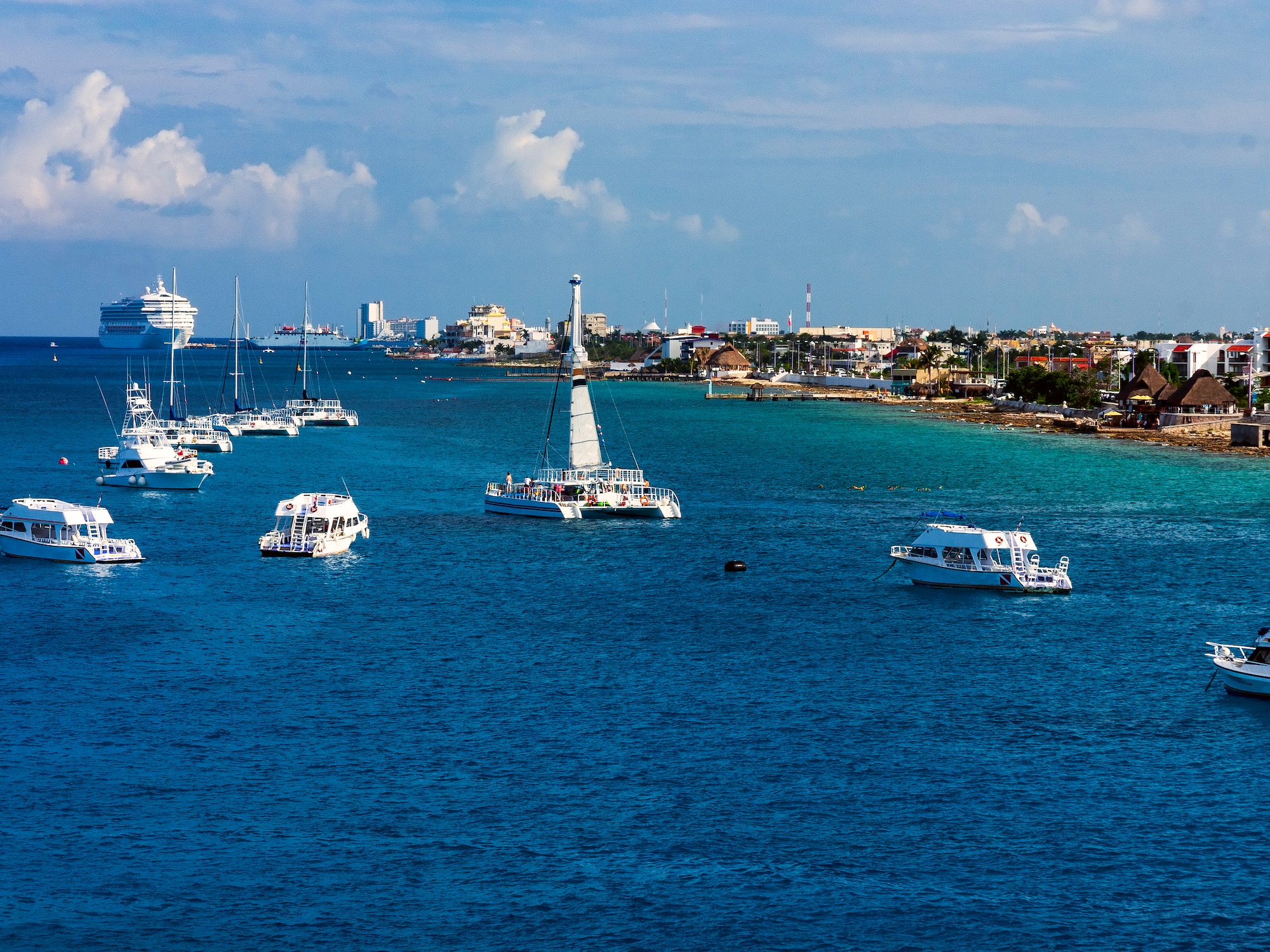 boats in the water with boats