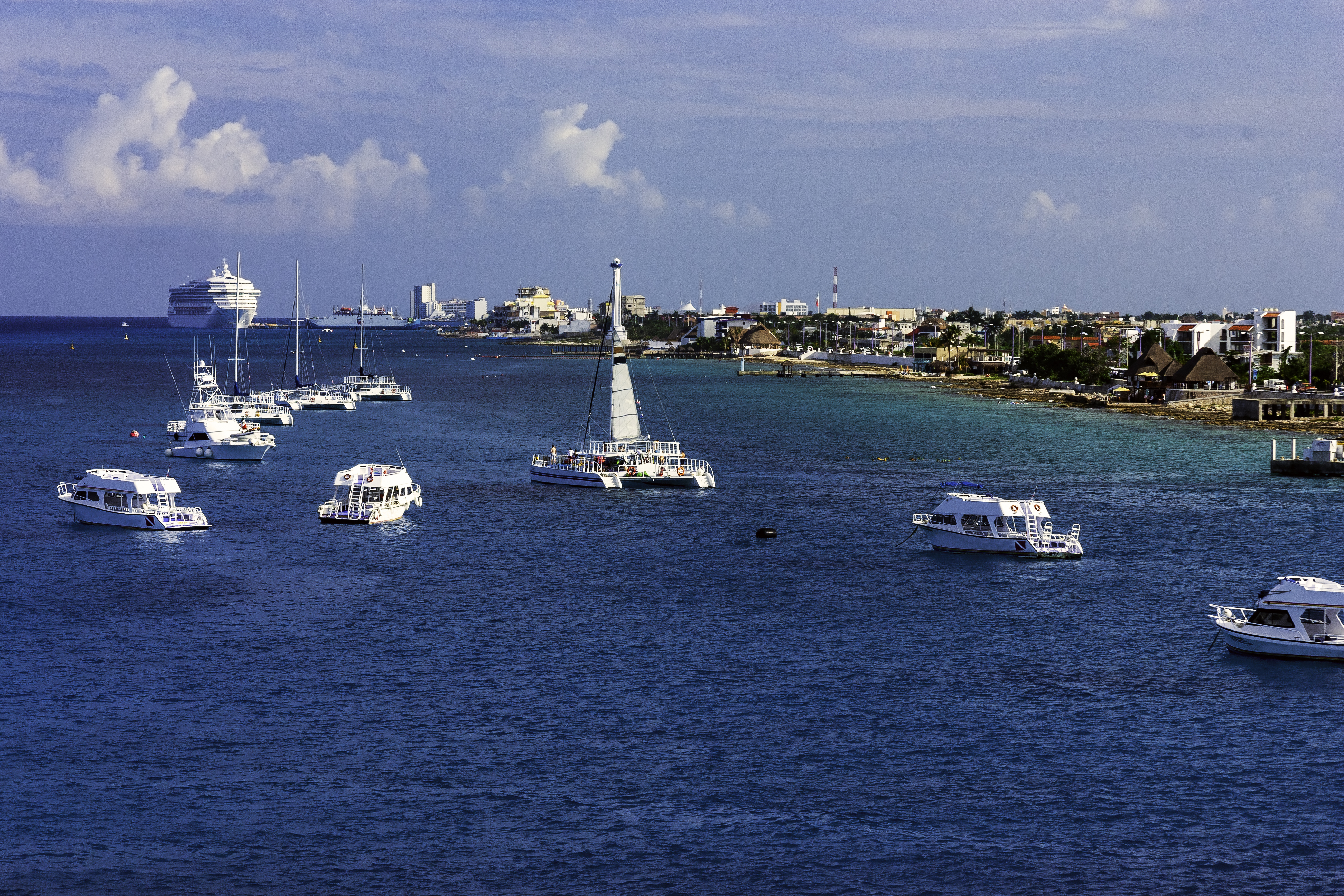 boats in the water with boats