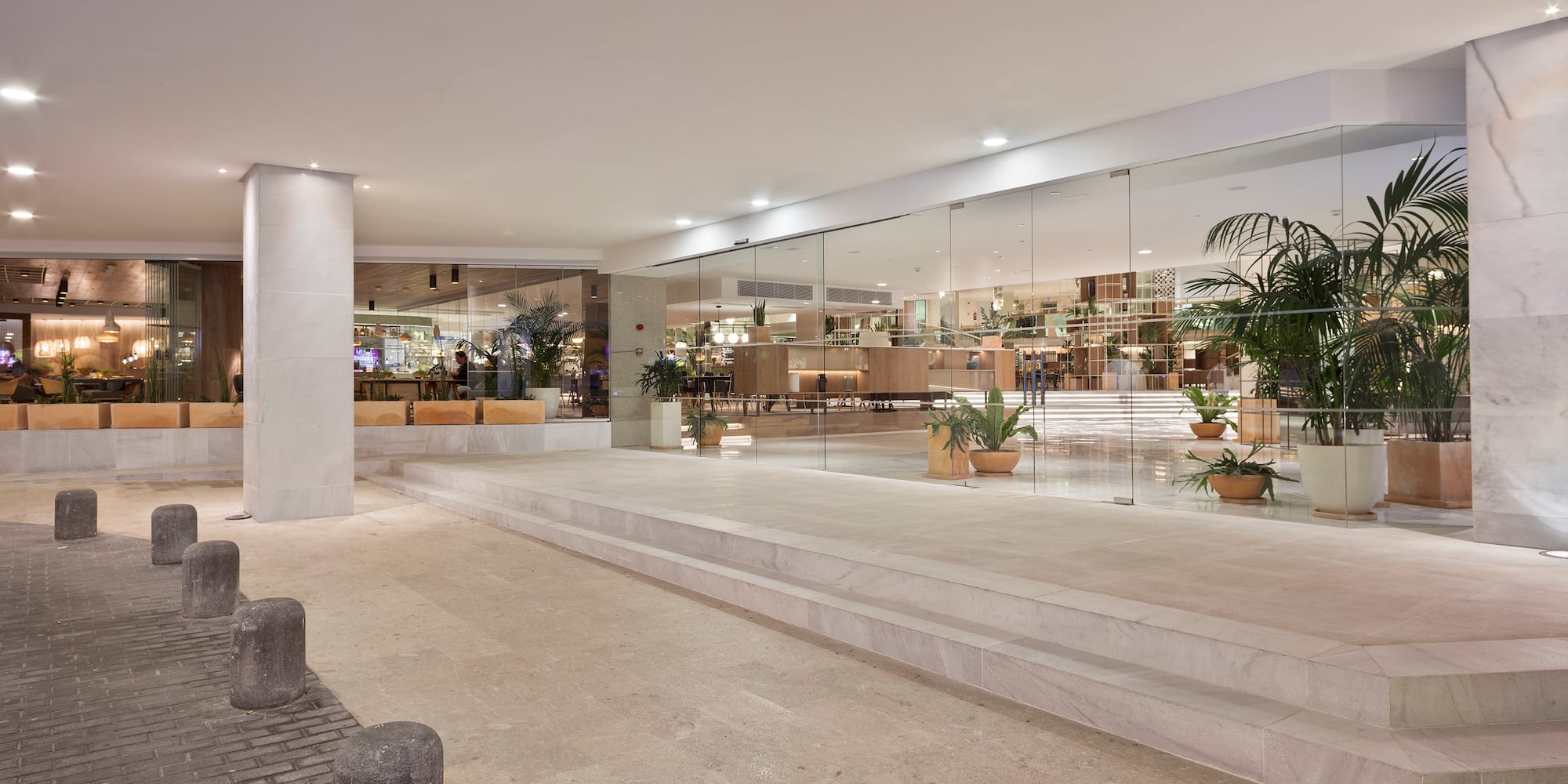a large glass wall with a staircase and plants in it