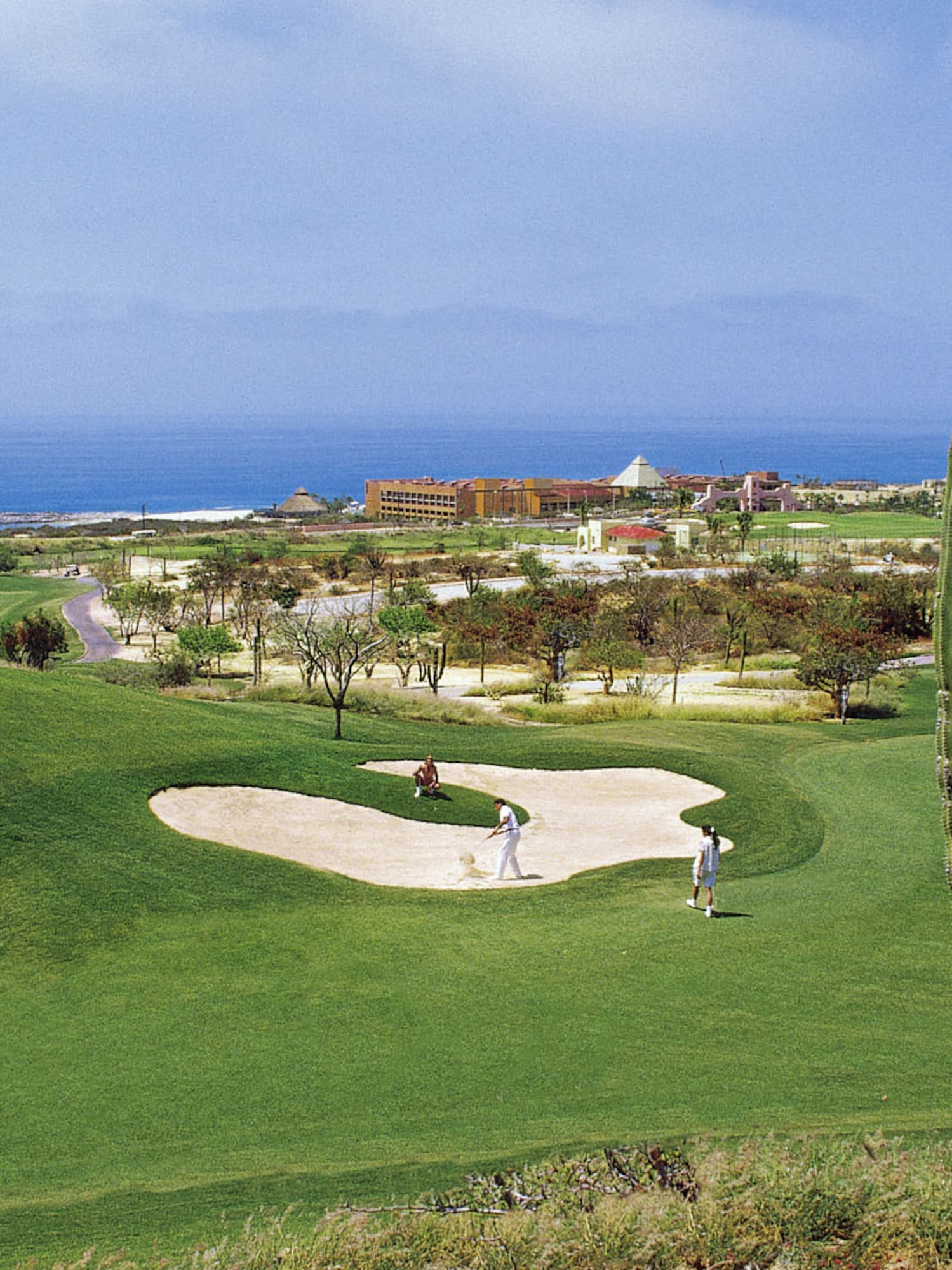 a group of people playing golf