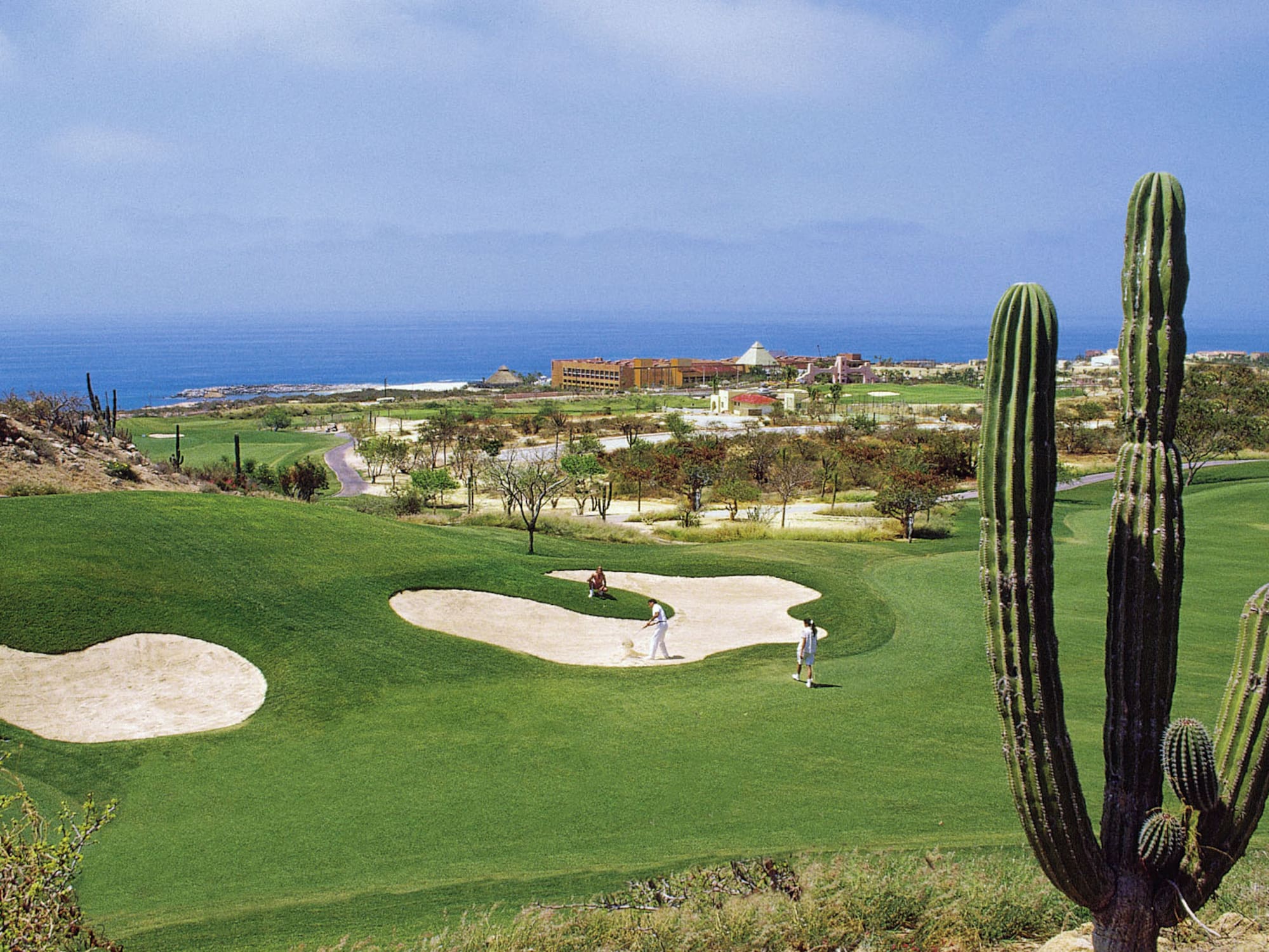 a group of people playing golf