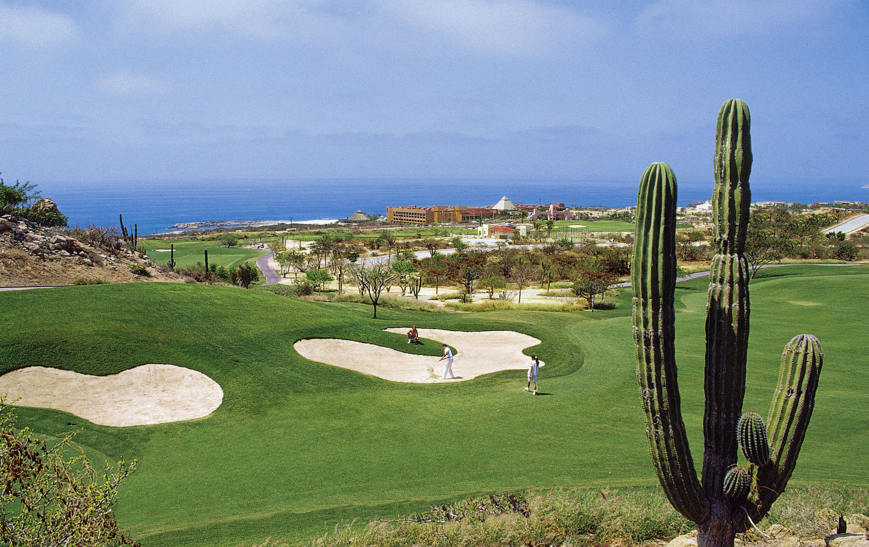Desert golf course with ocean view, saguaro cactus, golfers, and resort.