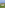 Desert golf course with ocean view, saguaro cactus, golfers, and resort.