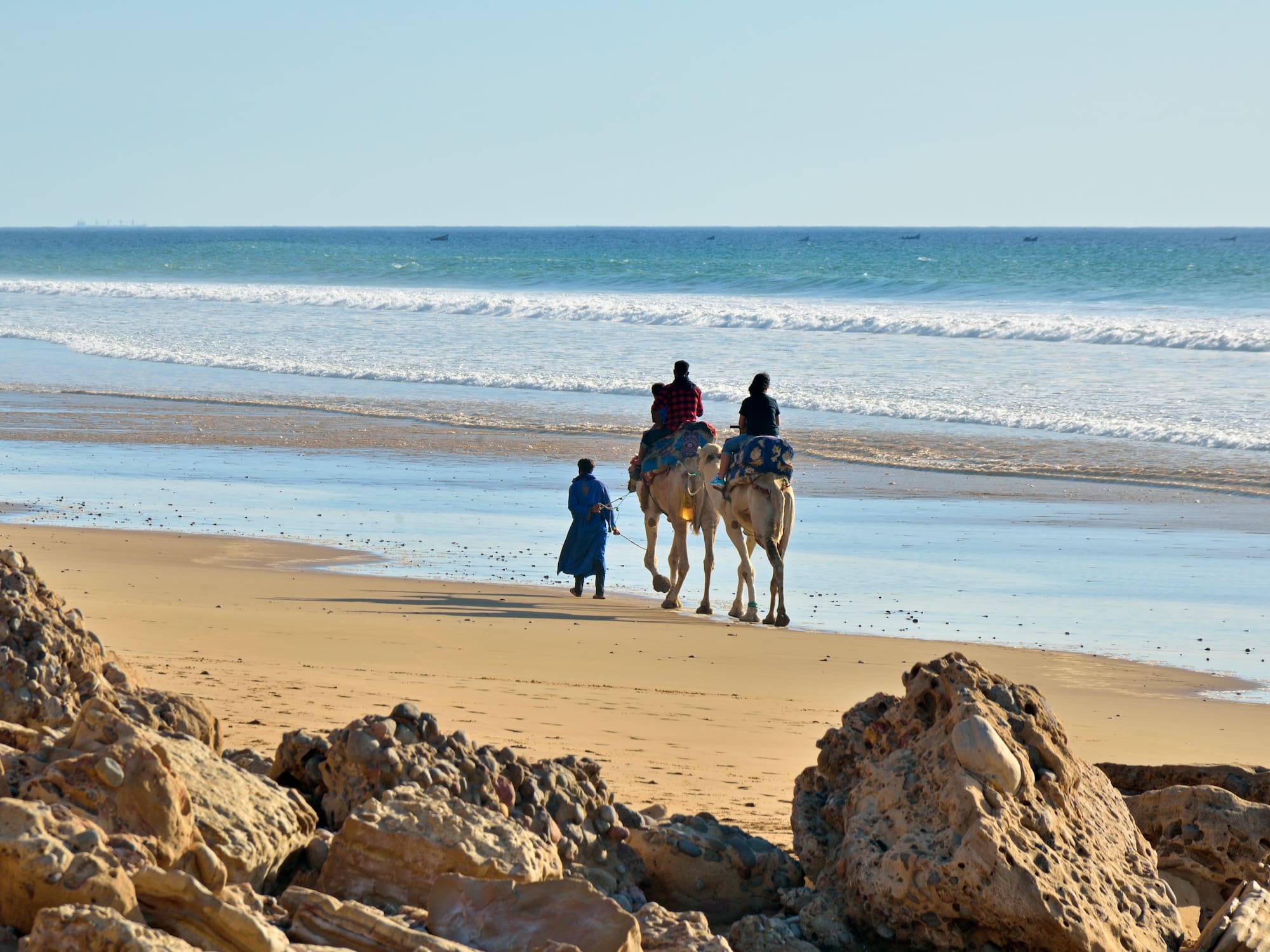 people riding camels on a beach