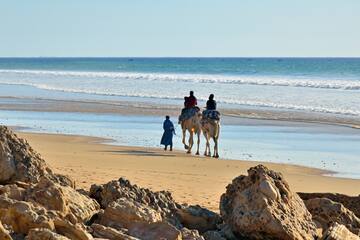people riding camels on a beach