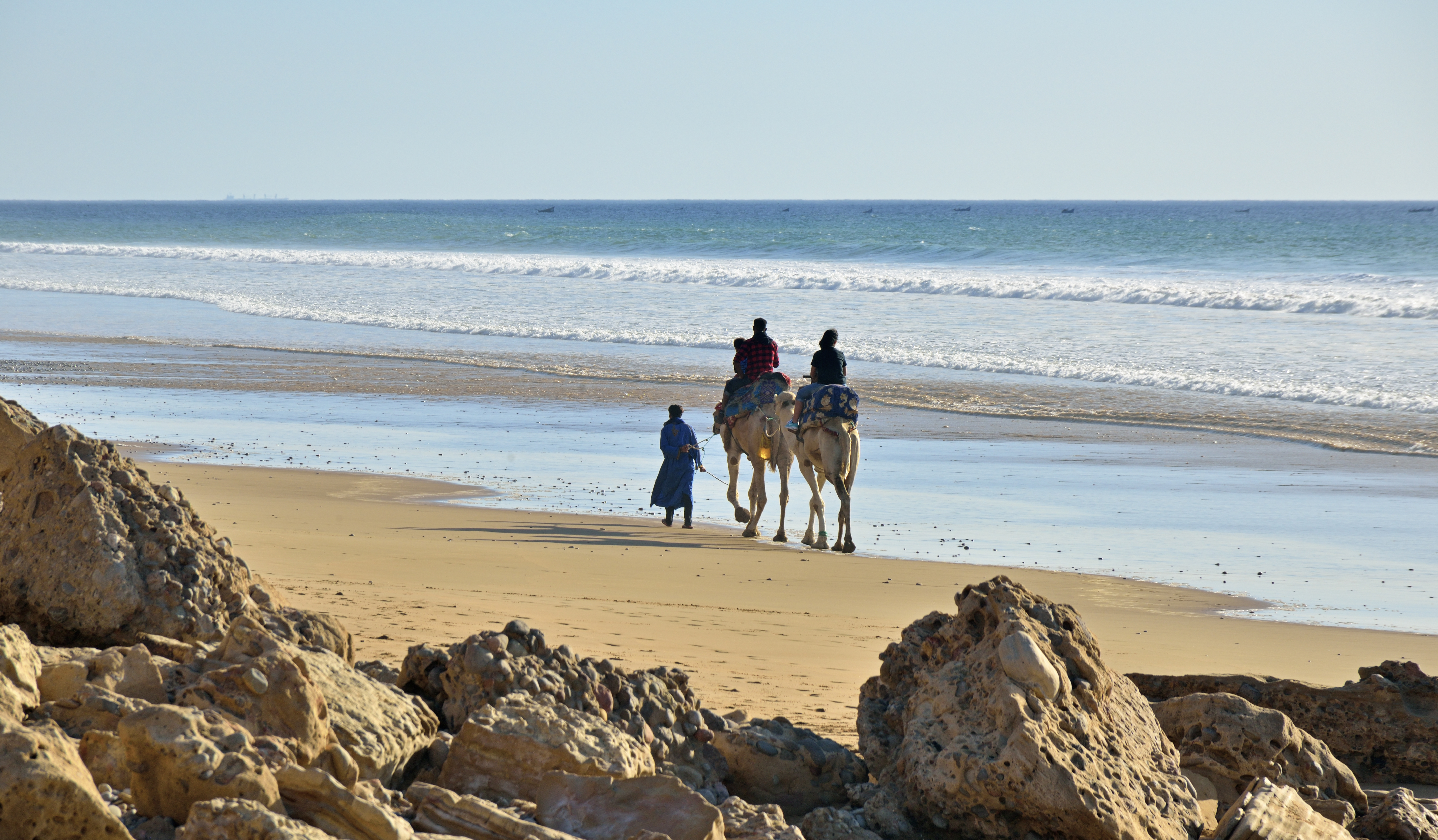 people riding camels on a beach