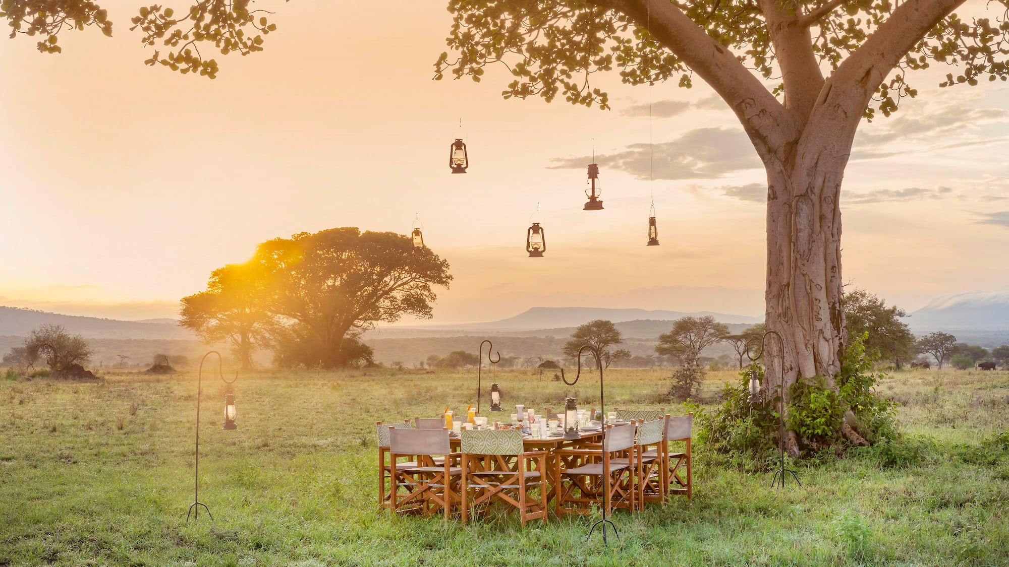 a table set up under a tree