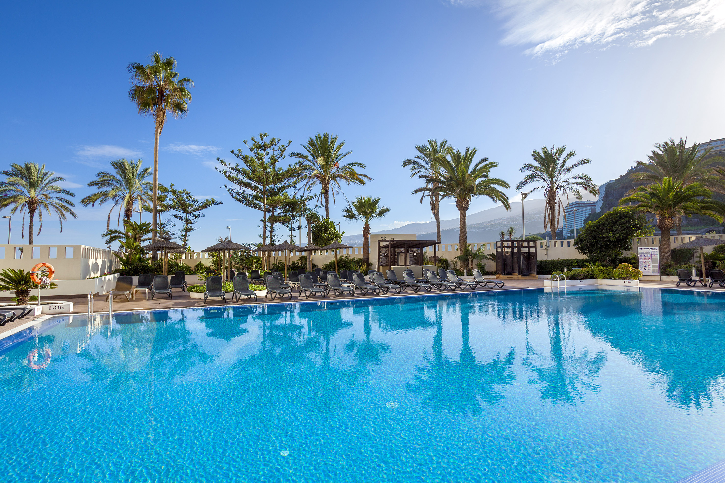 Sunny resort pool with palm trees, sun loungers, and mountain backdrop.