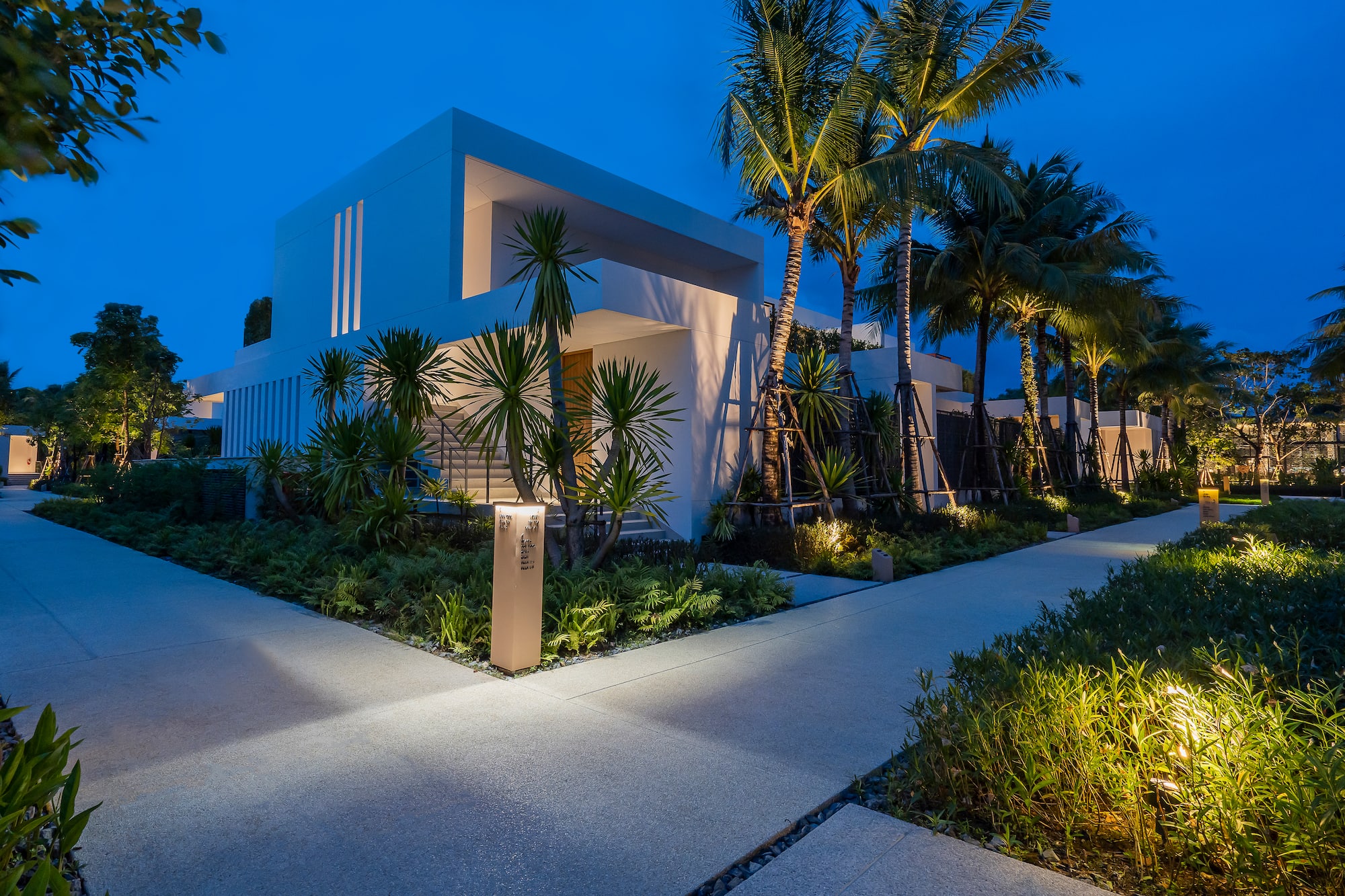 Modern white villa, illuminated path, and tropical palm trees at dusk.