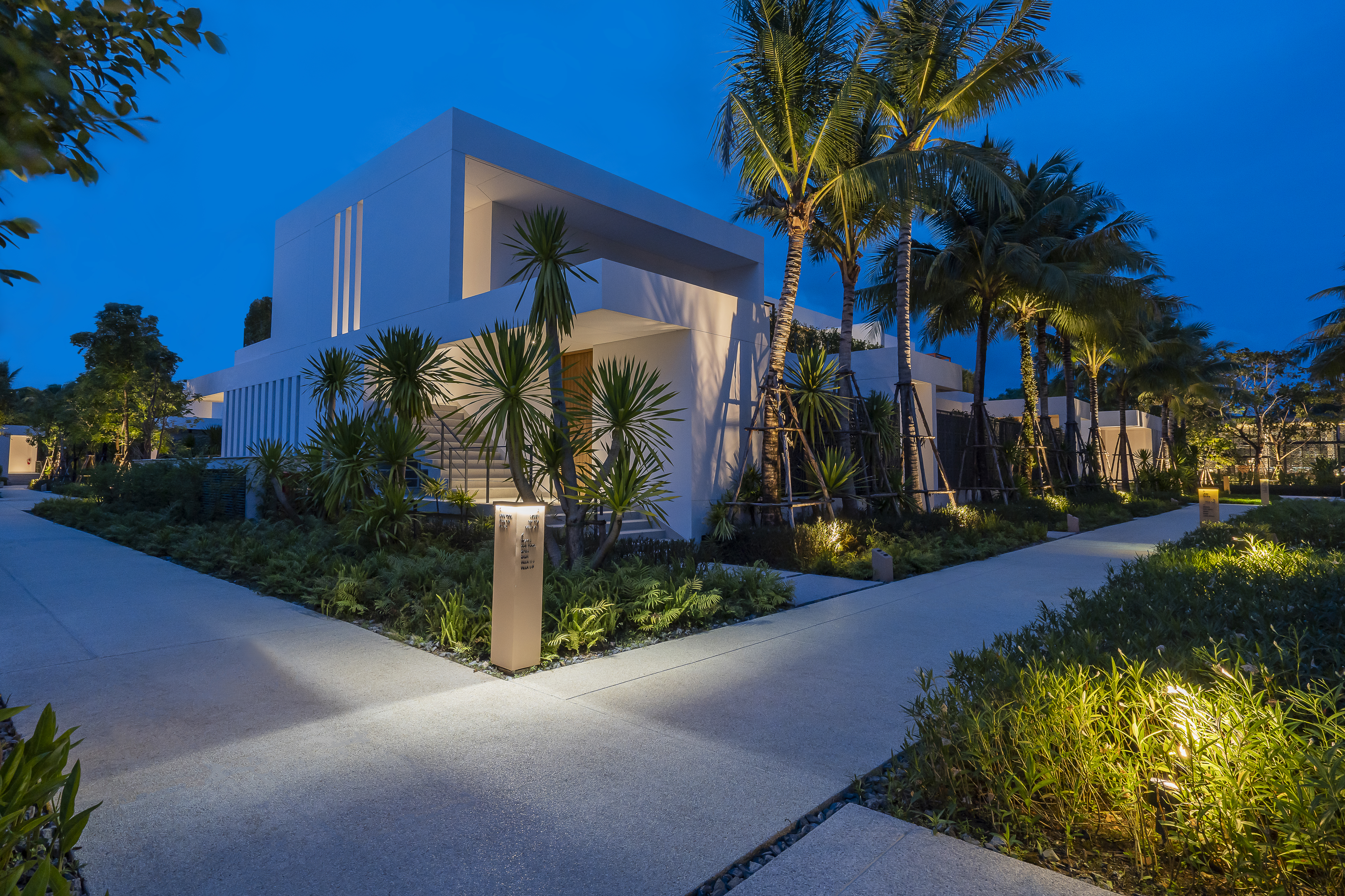 Modern white villa, illuminated path, and tropical palm trees at dusk.