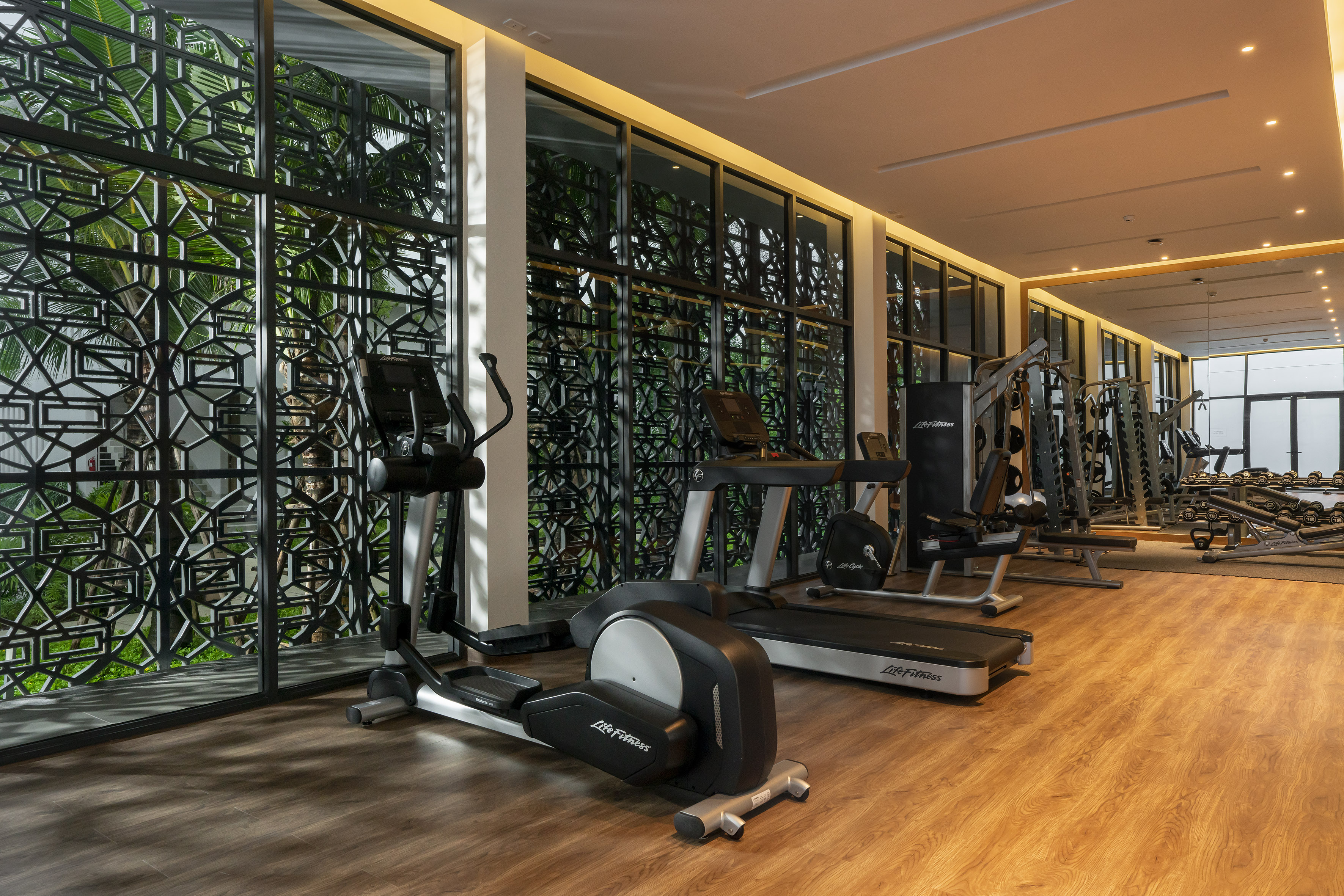 Modern gym with Life Fitness elliptical, treadmill, weights, and patterned windows.