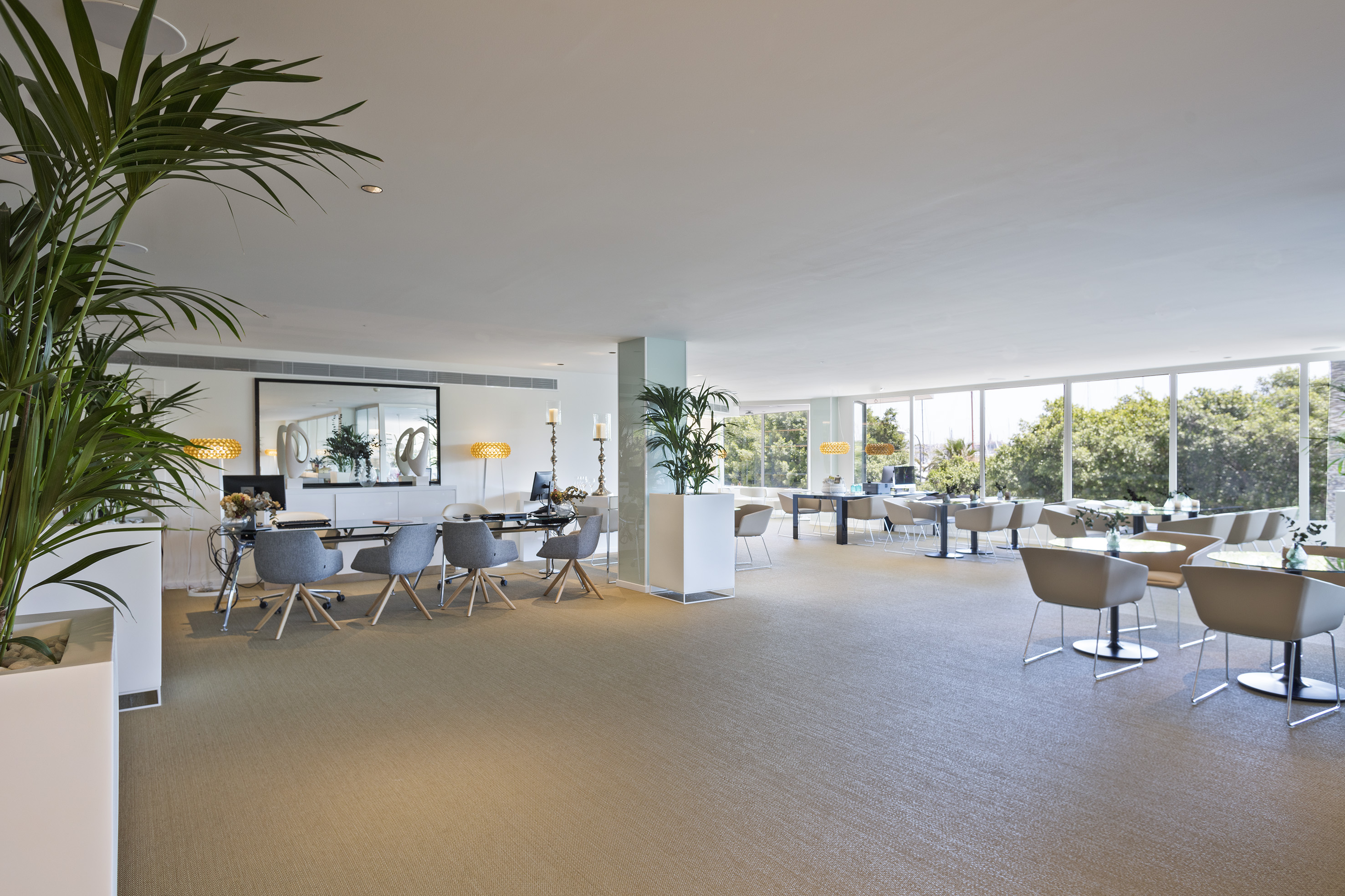 Contemporary hotel lobby with spacious seating areas, large windows, and plants.