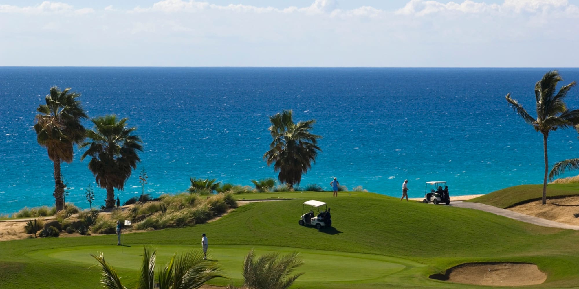 a golf course with palm trees and a body of water