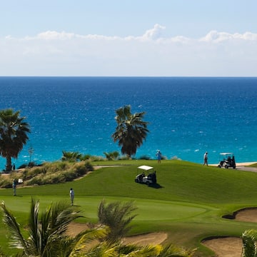 a golf course with palm trees and a body of water