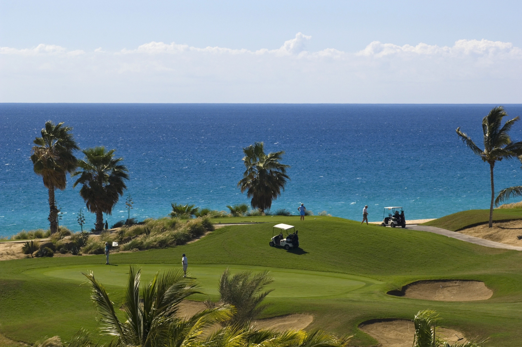 Tropical oceanfront golf course with golfers, palm trees, and golf carts by the sea.