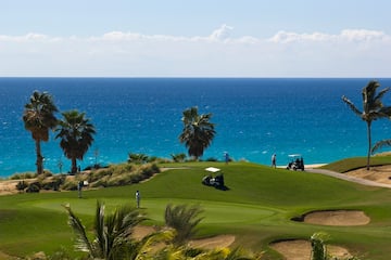 a golf course with palm trees and a body of water